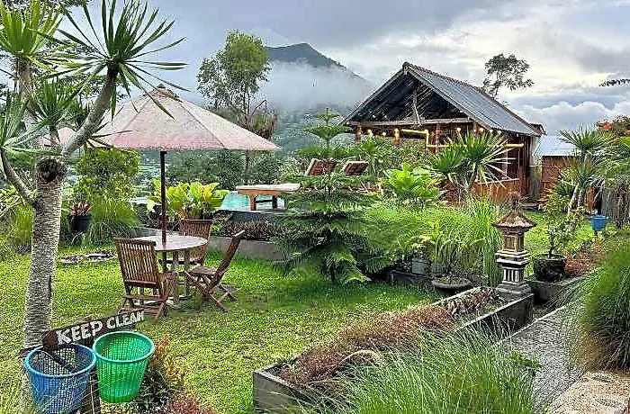 Volcano View